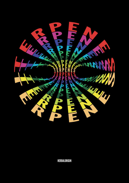 IN BRIEF: THE IMPORTANCE OF TERPENES IN YOUR CBD OIL