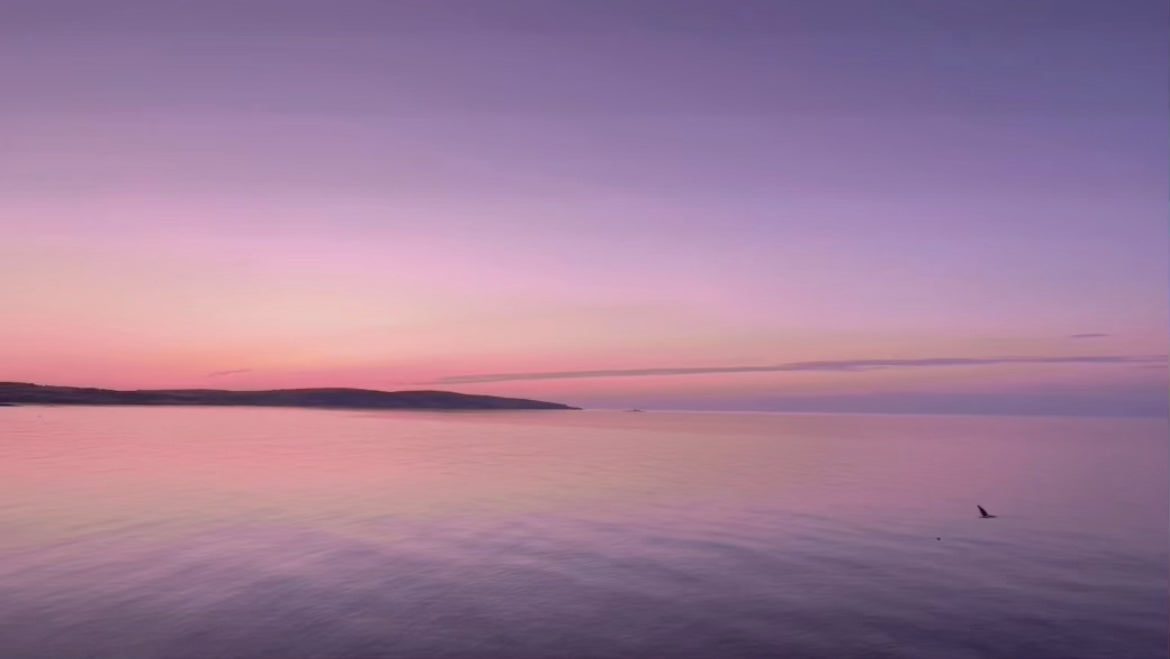 HAPPINESS, PLEASURE, JOY & DELIGHT: A IS FOR ANANDAMIDE