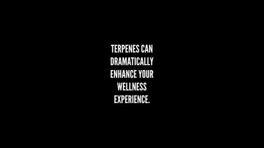 TERPENES: THE KEY TO ENHANCING YOUR WELLNESS EXPERIENCE