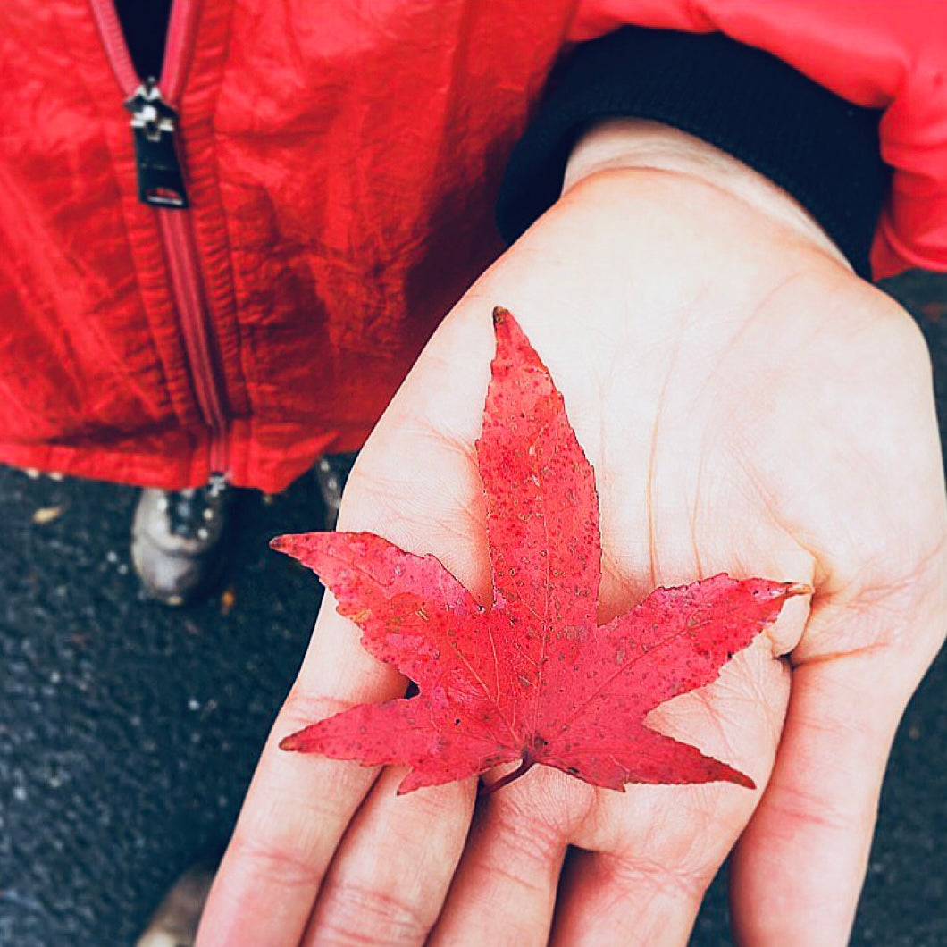 SEASONAL AFFECTIVE DISORDER