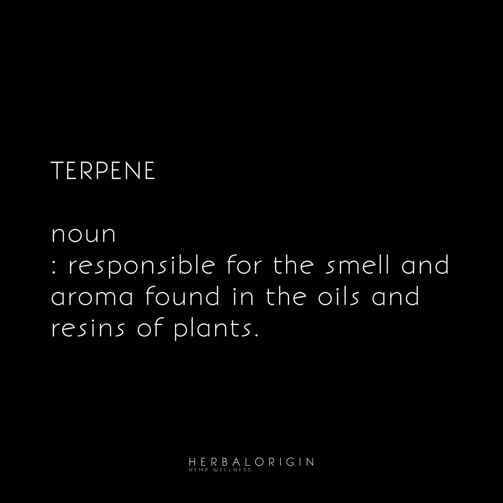 TERPENES - HERBALORIGIN 