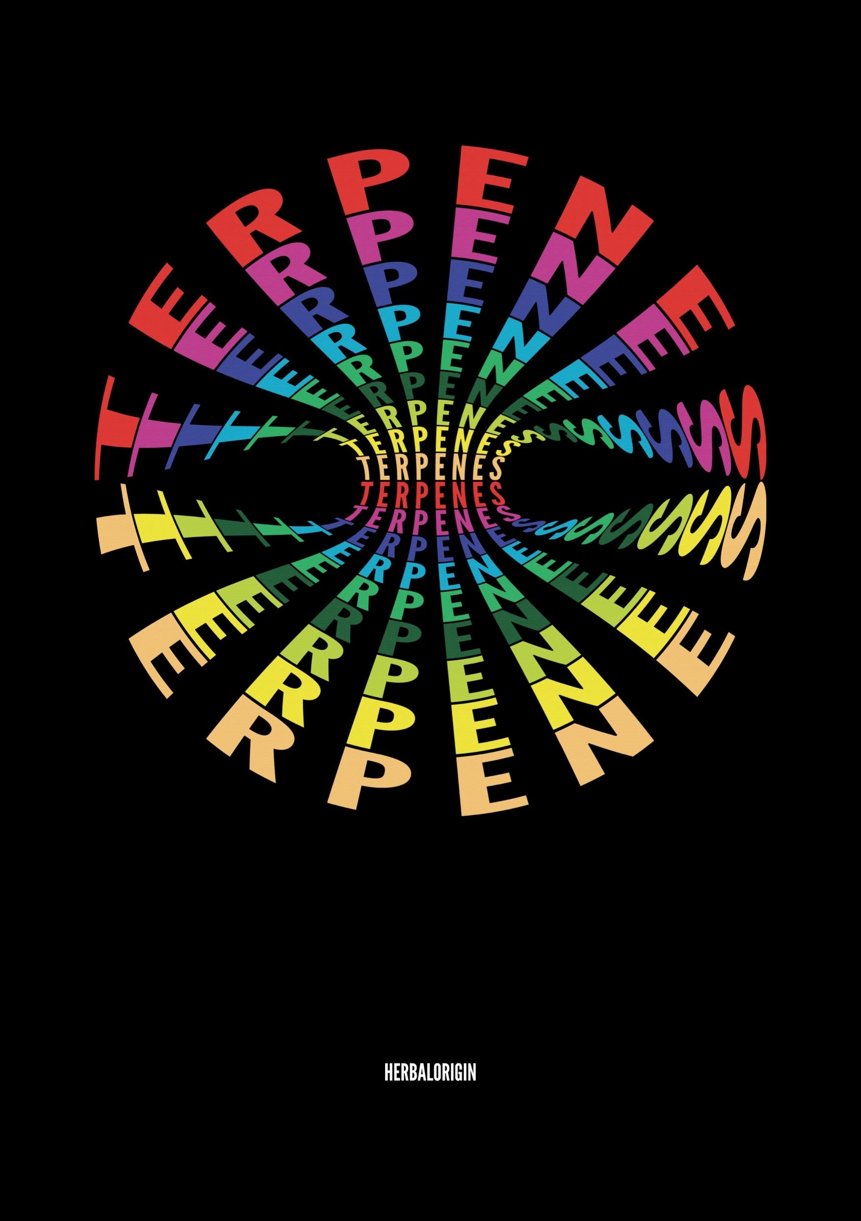 IN BRIEF: THE IMPORTANCE OF TERPENES IN YOUR CBD OIL