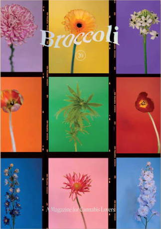 Broccoli Magazine - Issue 20