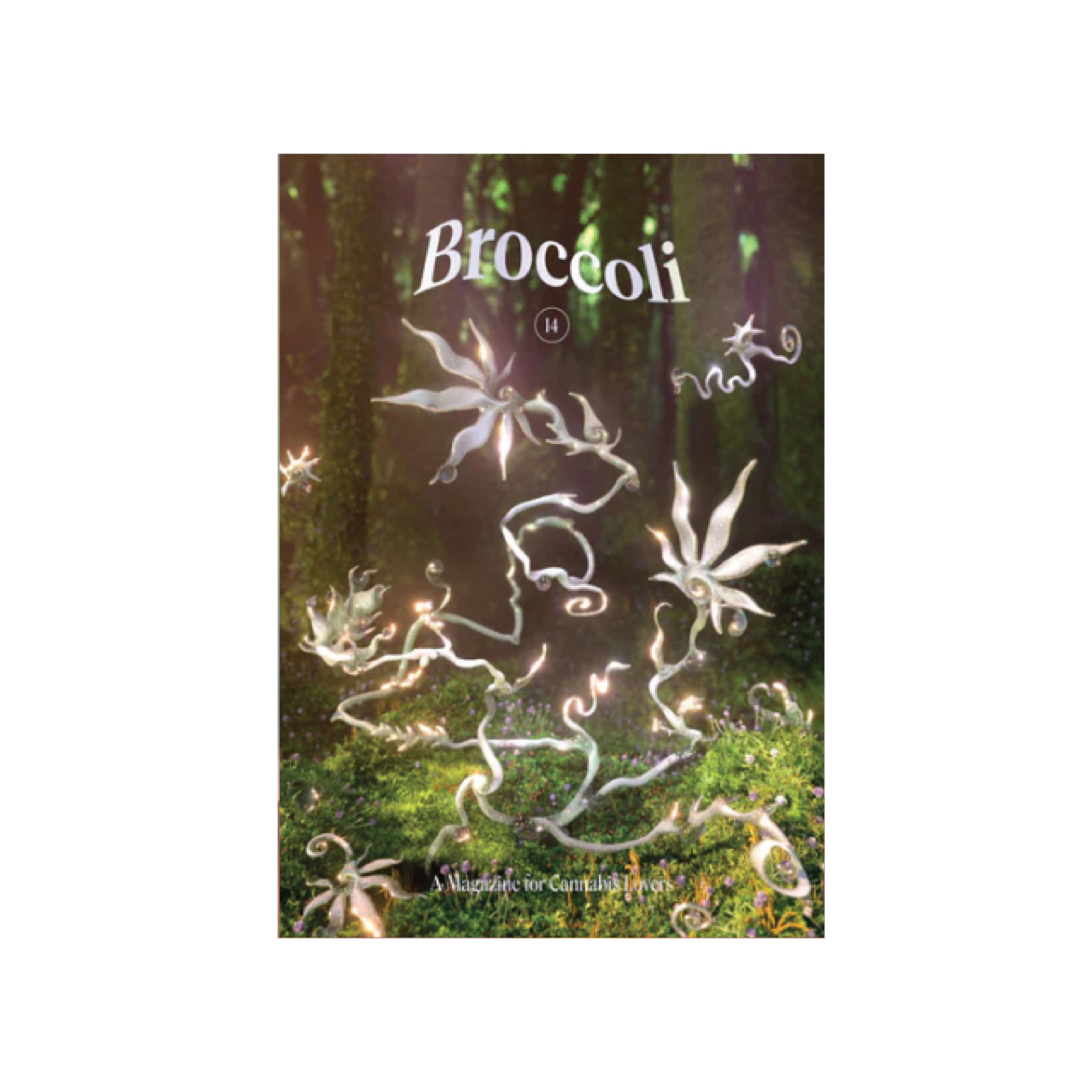 Broccoli Magazine - Issue 14