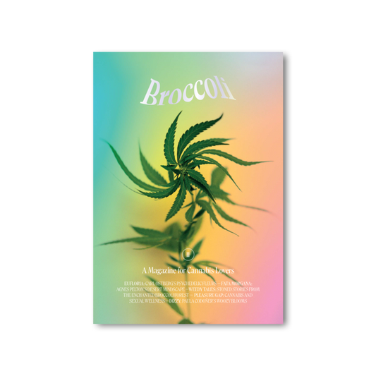 Broccoli Magazine - Issue 11