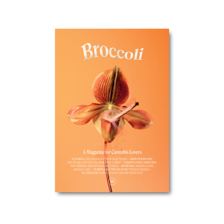 Broccoli Magazine - Issue 8